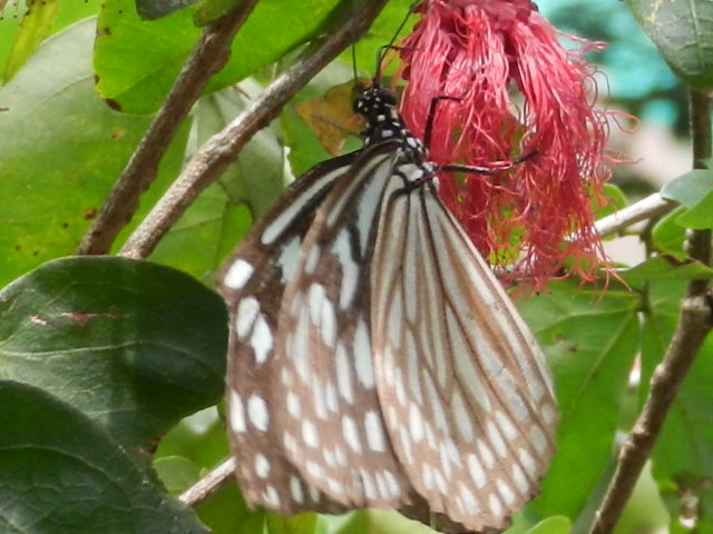 RSCN2702.JPG