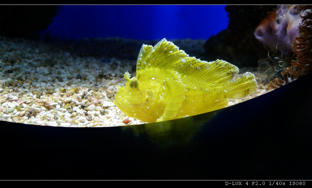 Musee Oceanographique de Monaco (France) 1R.jpg