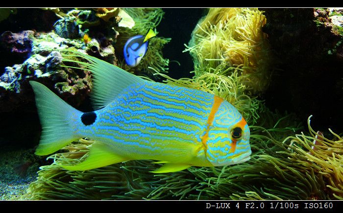 Musee Oceanographique de Monaco (France) 7R.jpg