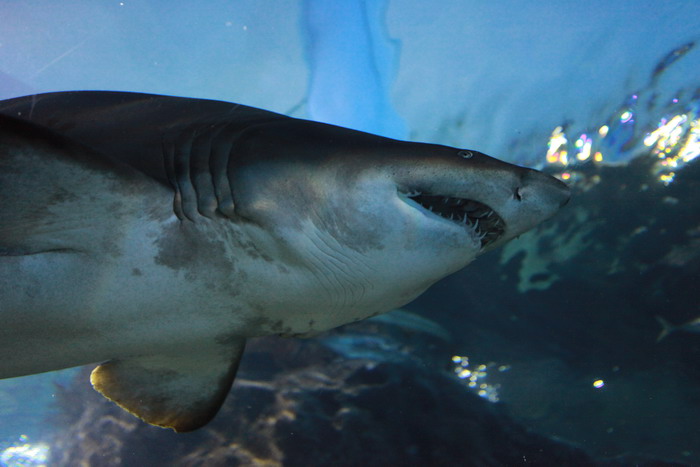 090827 Bangkok_305.jpg