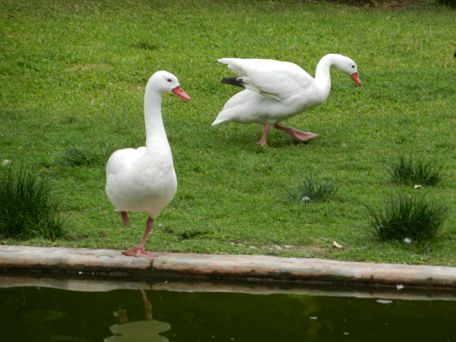 RSCN2858.JPG