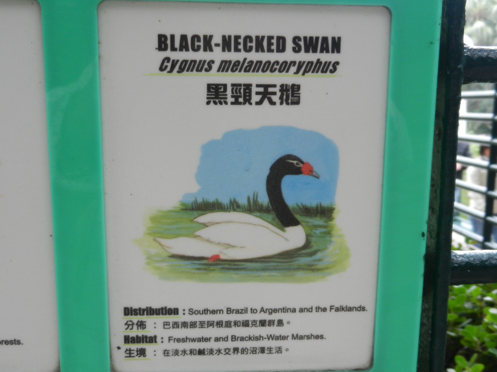 RSCN2859.JPG