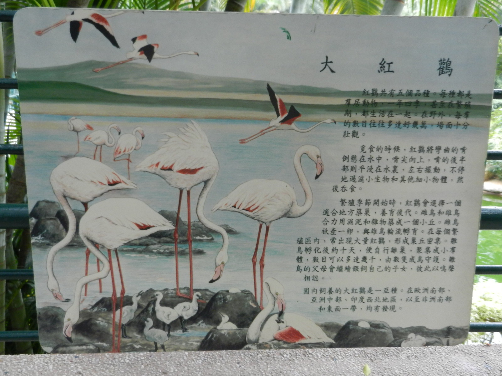 RSCN2860.JPG