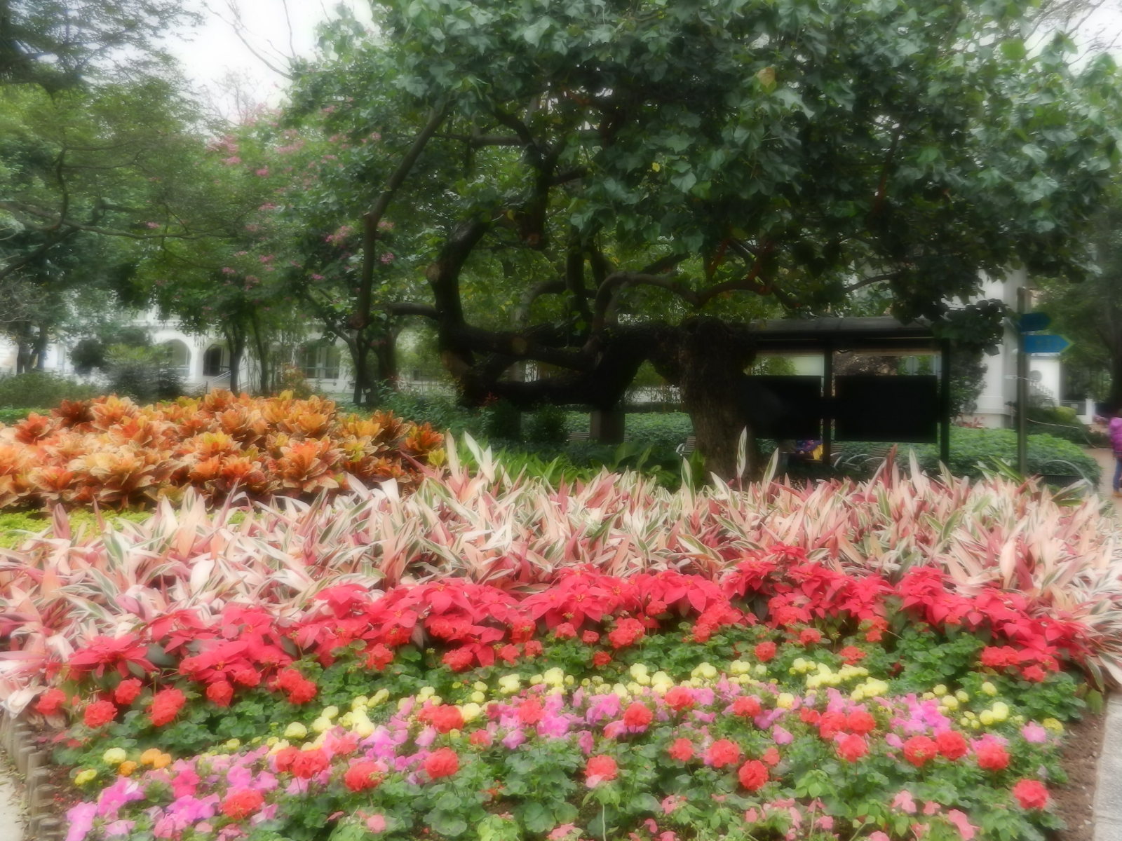 RSCN2820.JPG