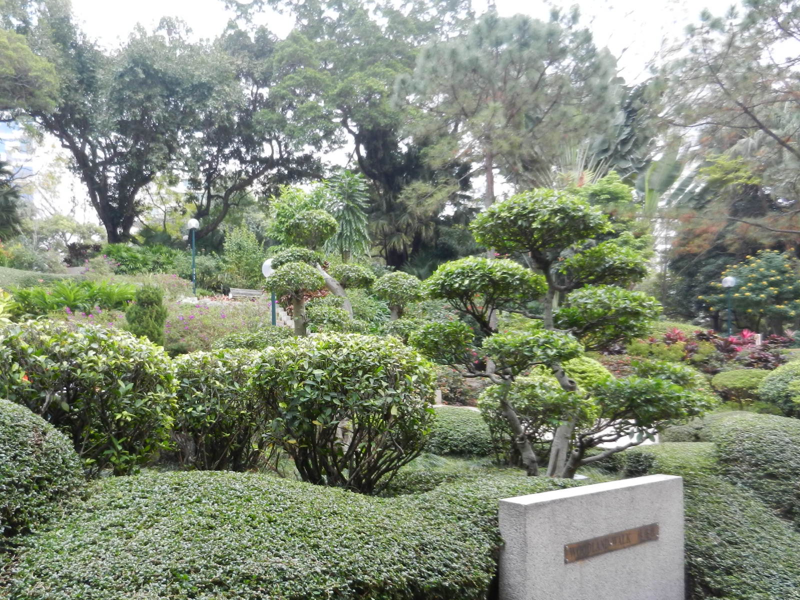 RSCN2821.JPG