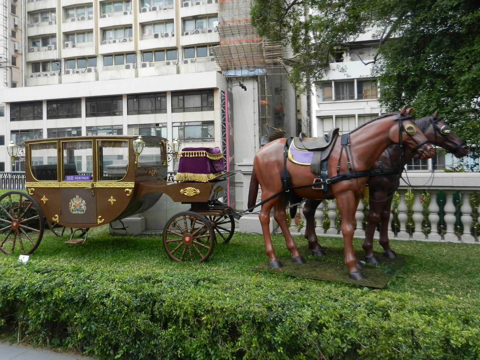 RSCN2824.JPG