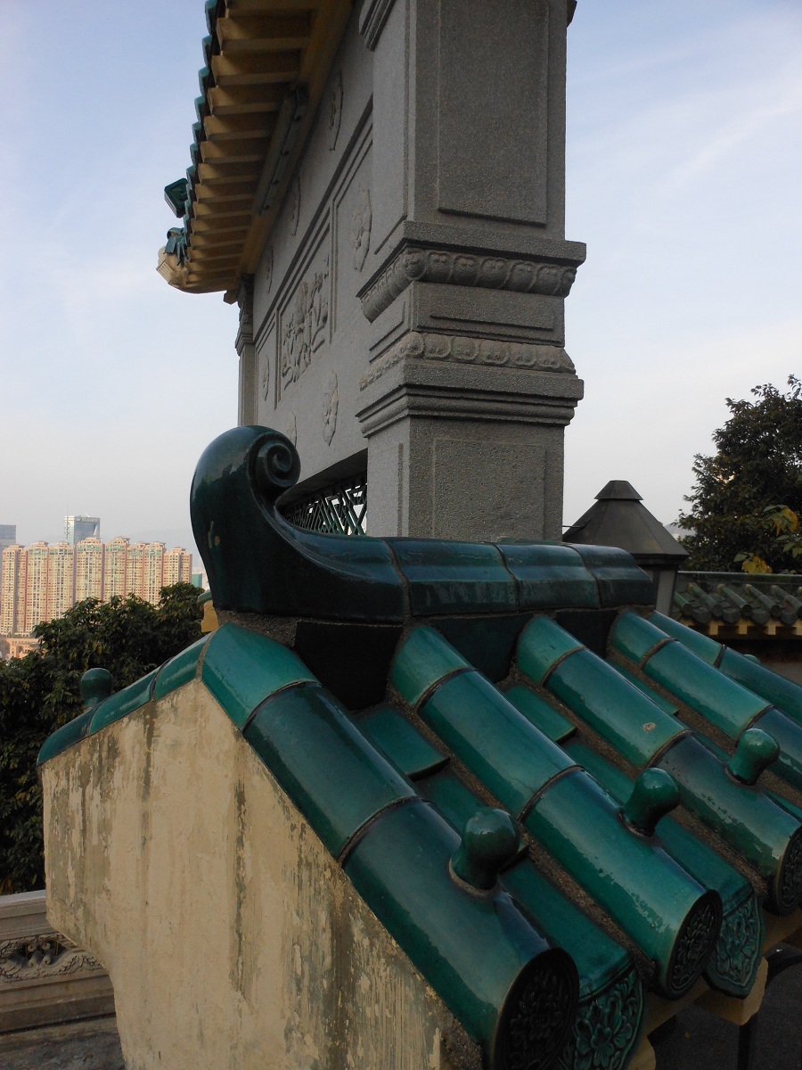 DSCN0547.jpg