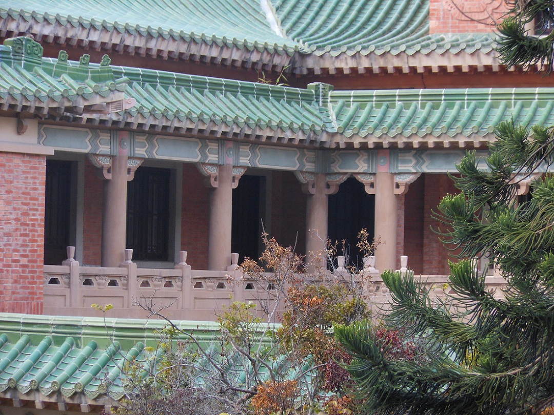 DSCN0554.jpg