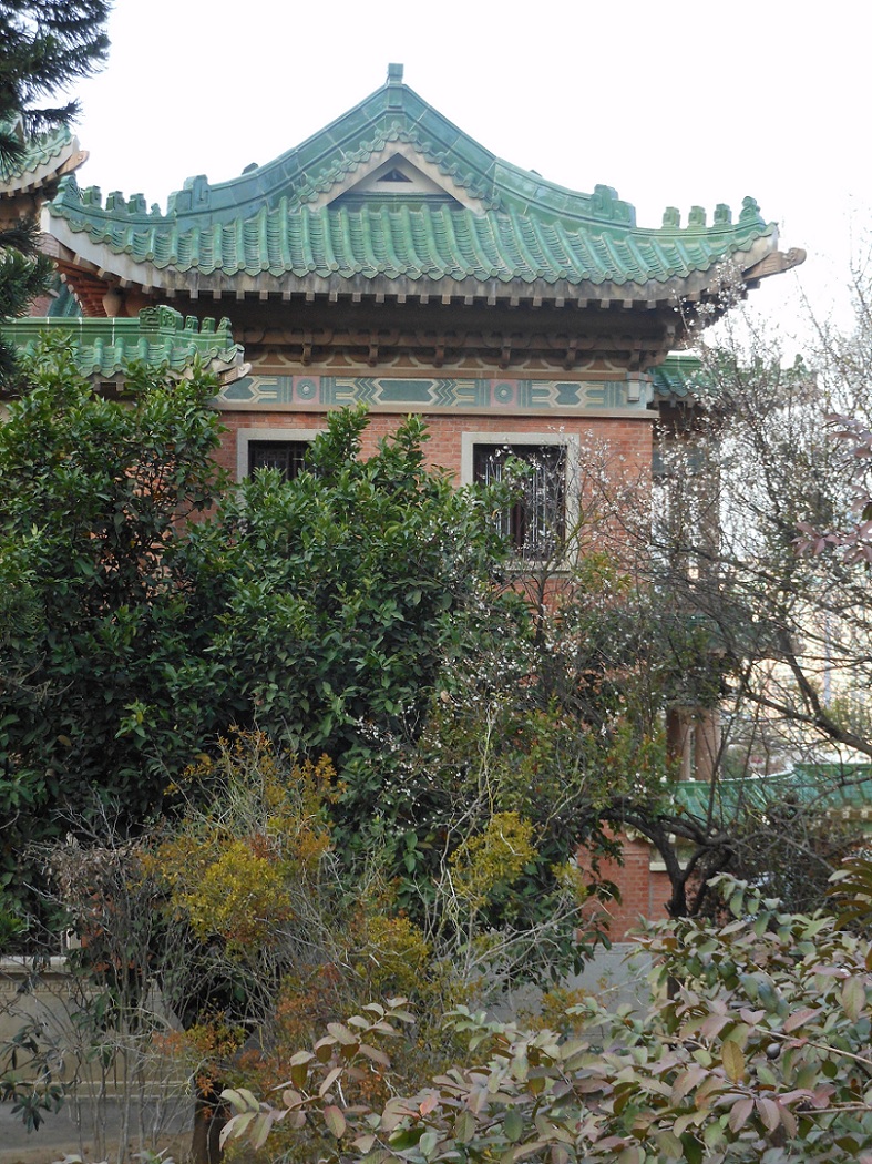DSCN0553.jpg
