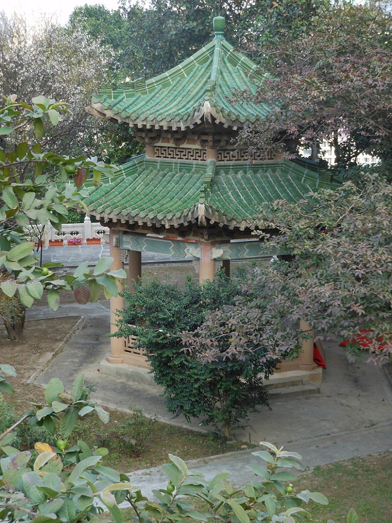 DSCN0564.jpg
