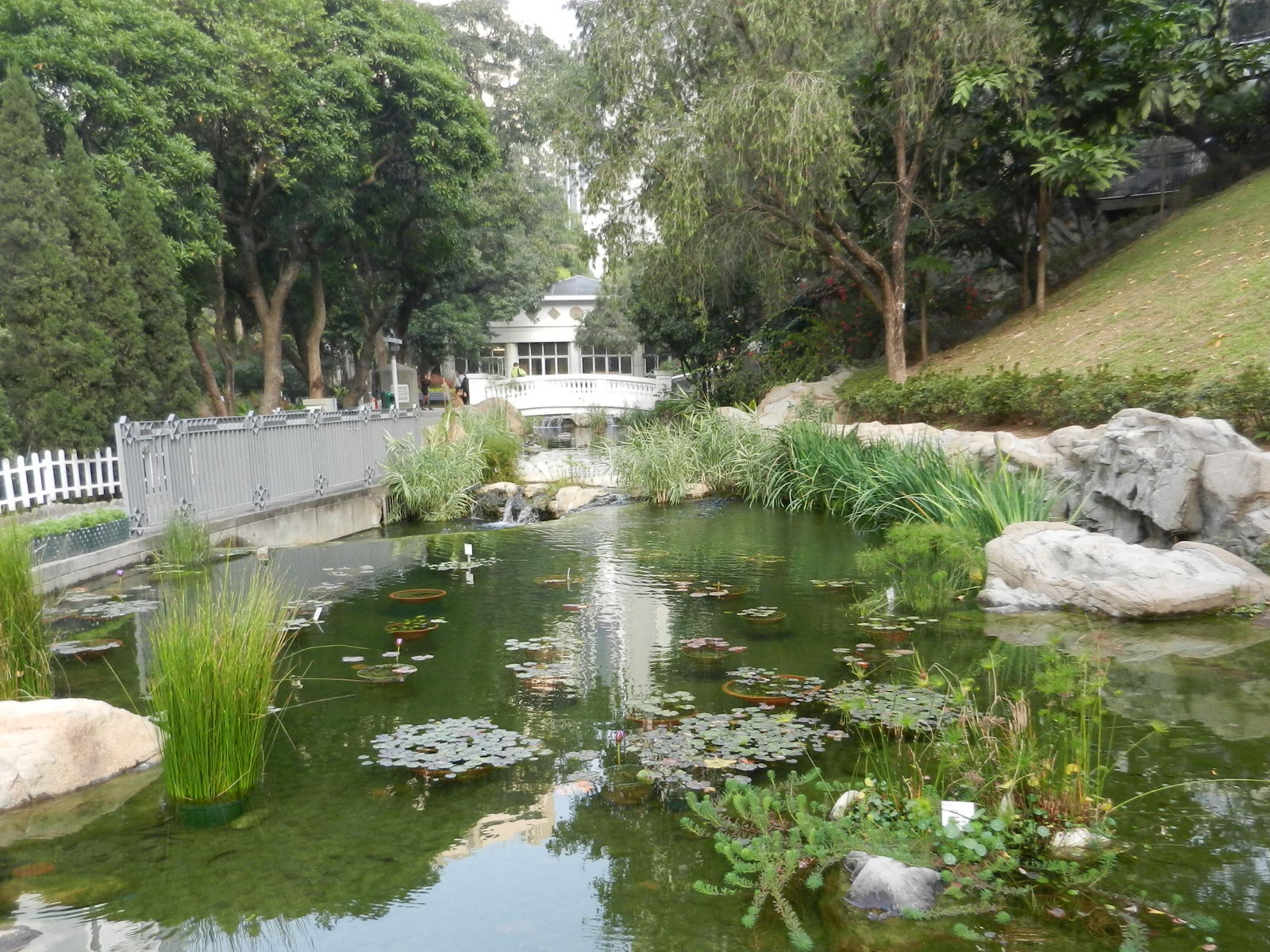 RSCN3272.JPG