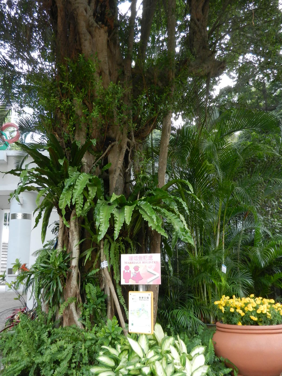 RSCN3262.JPG