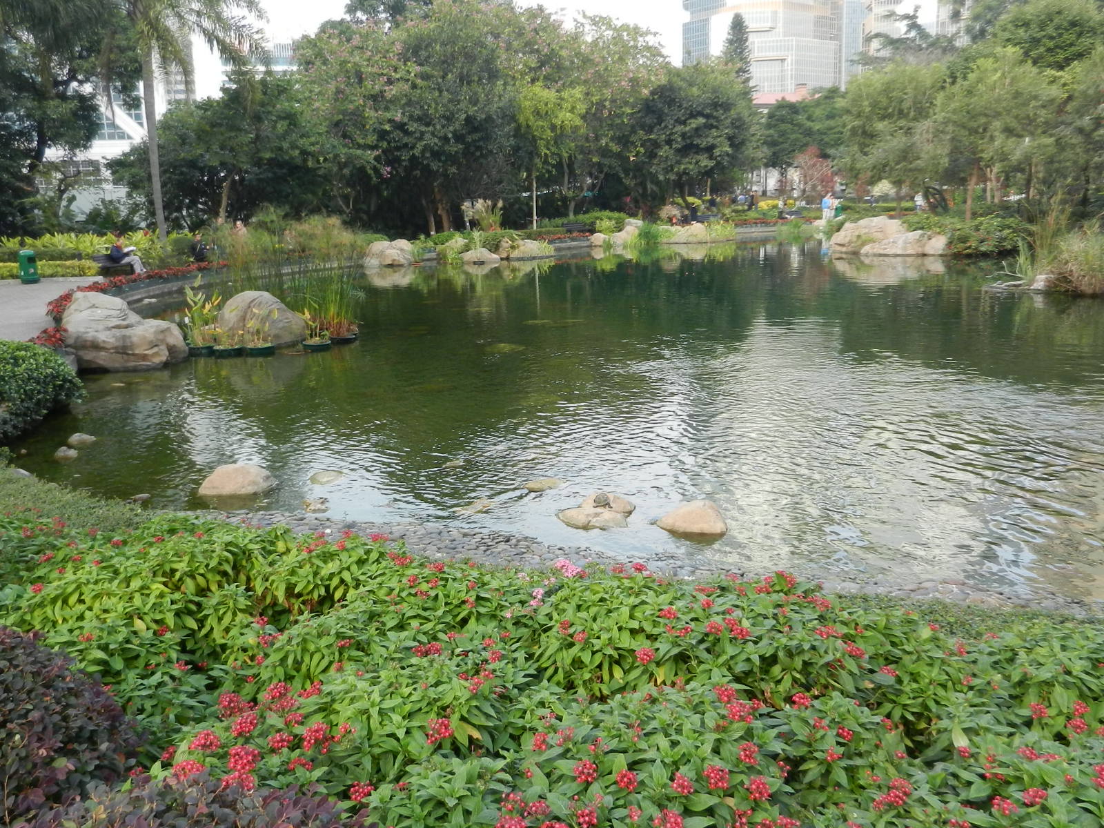RSCN3281.JPG