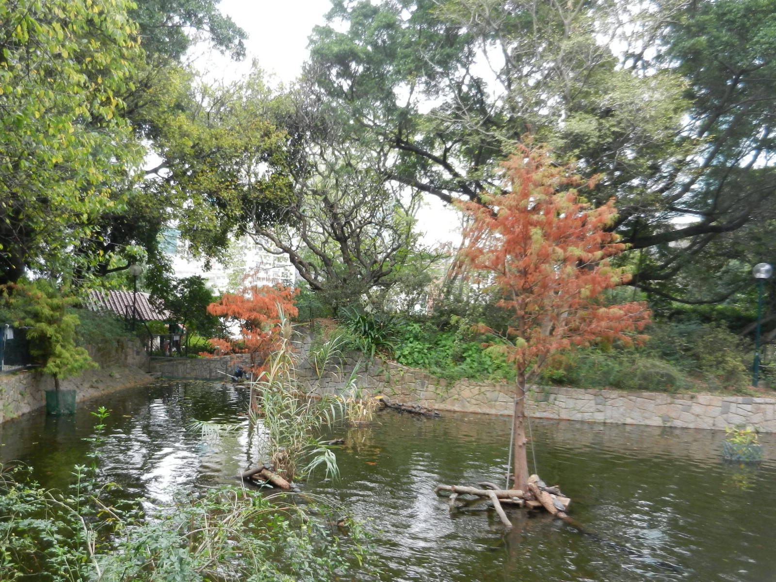 RSCN3358.JPG