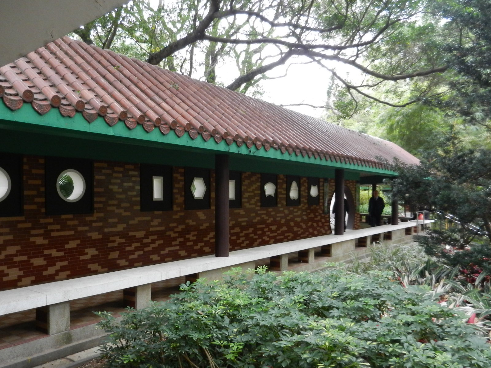 RSCN3371.JPG