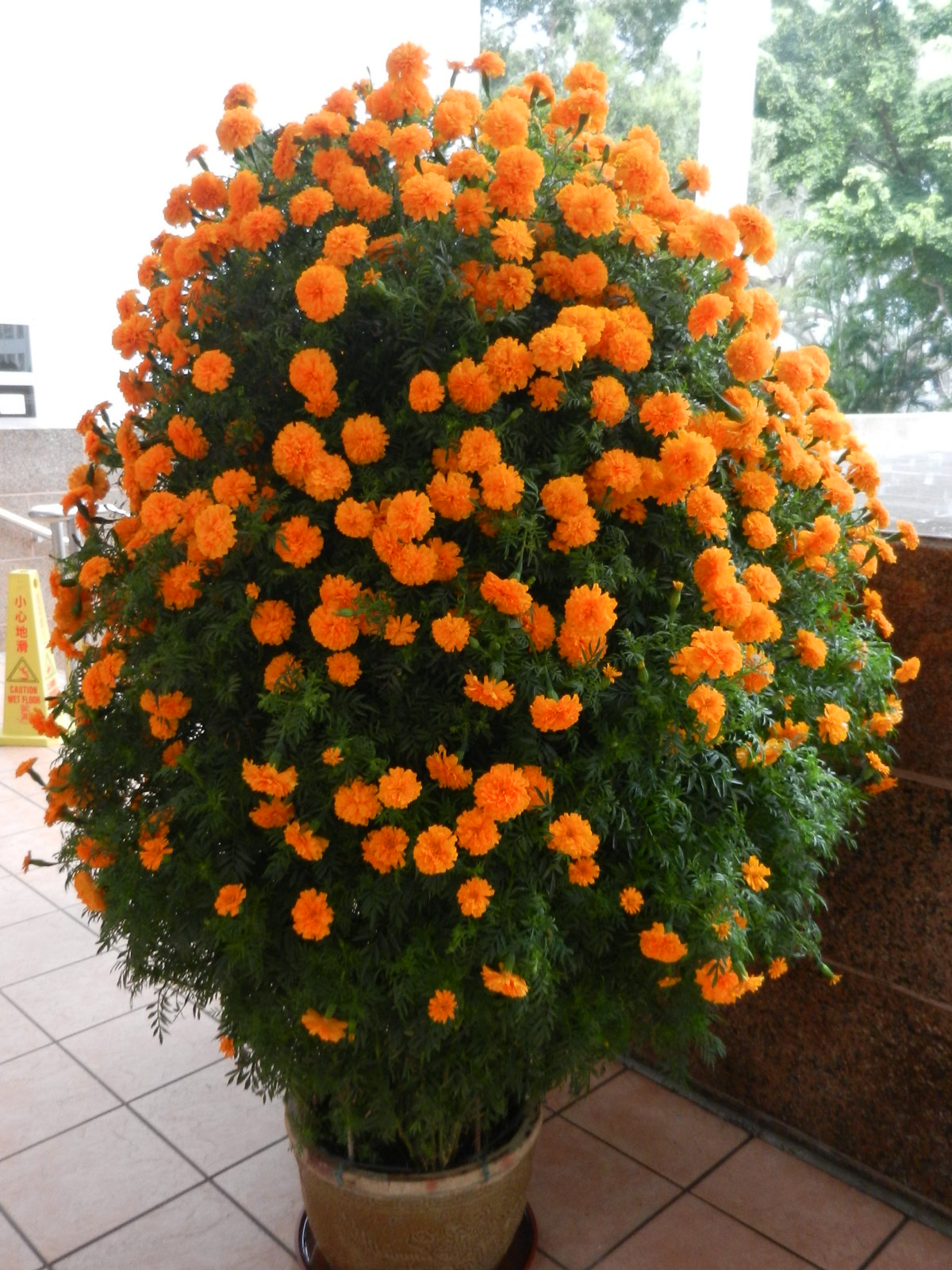 RSCN3425.JPG