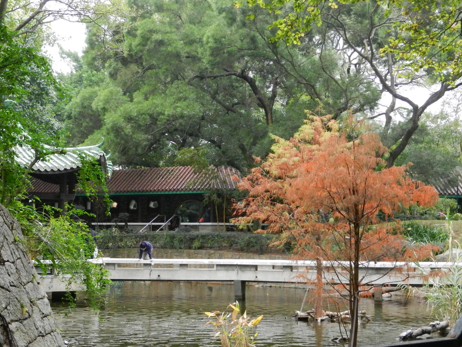 RSCN3348.JPG