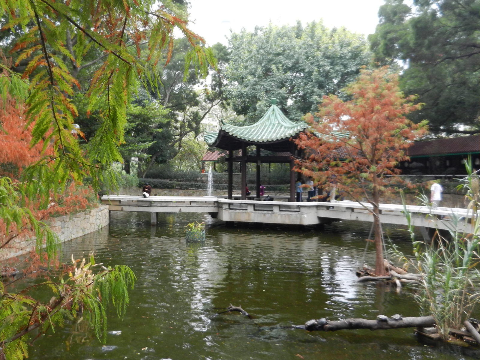 RSCN3350.JPG