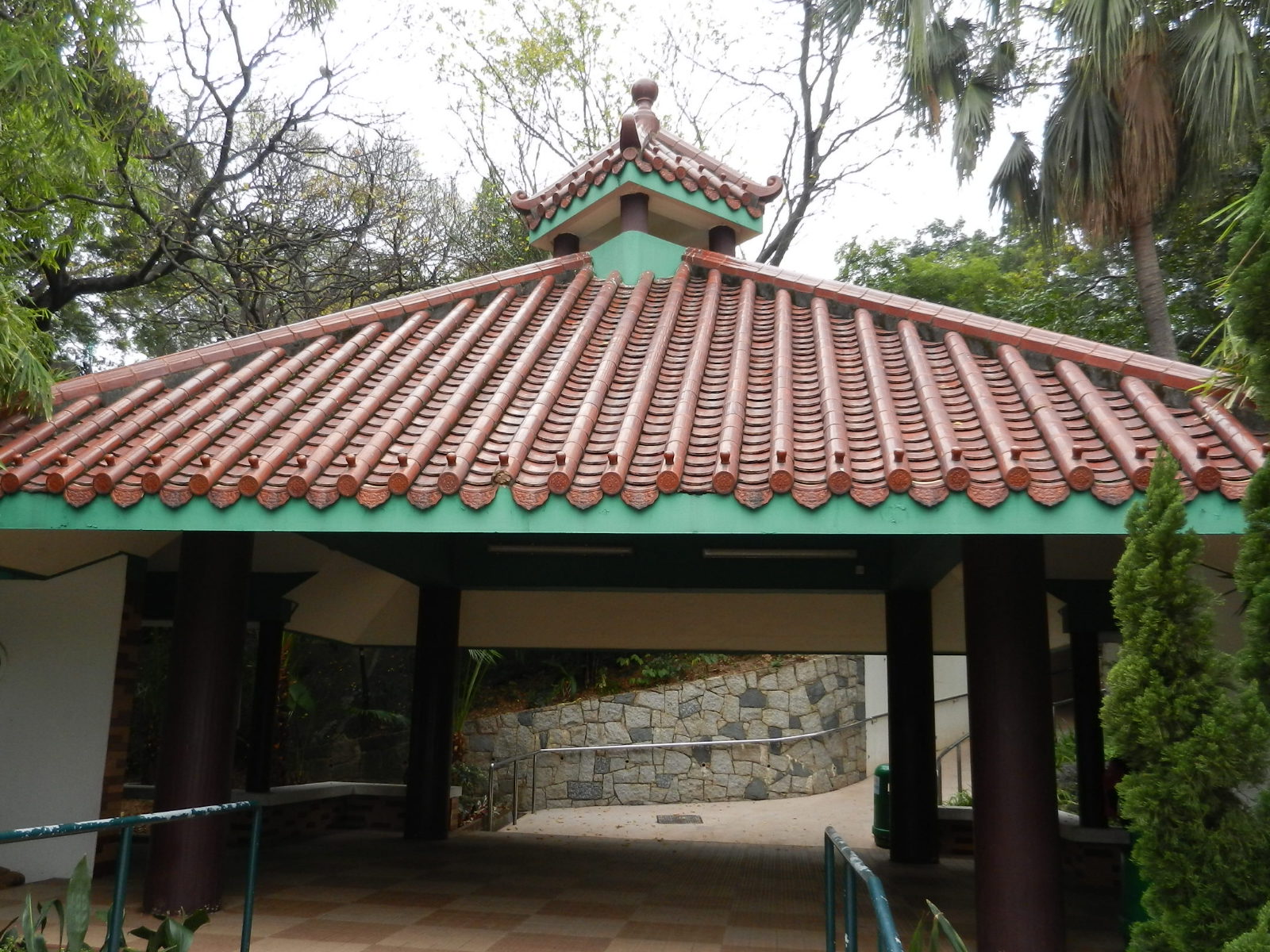RSCN3430.JPG