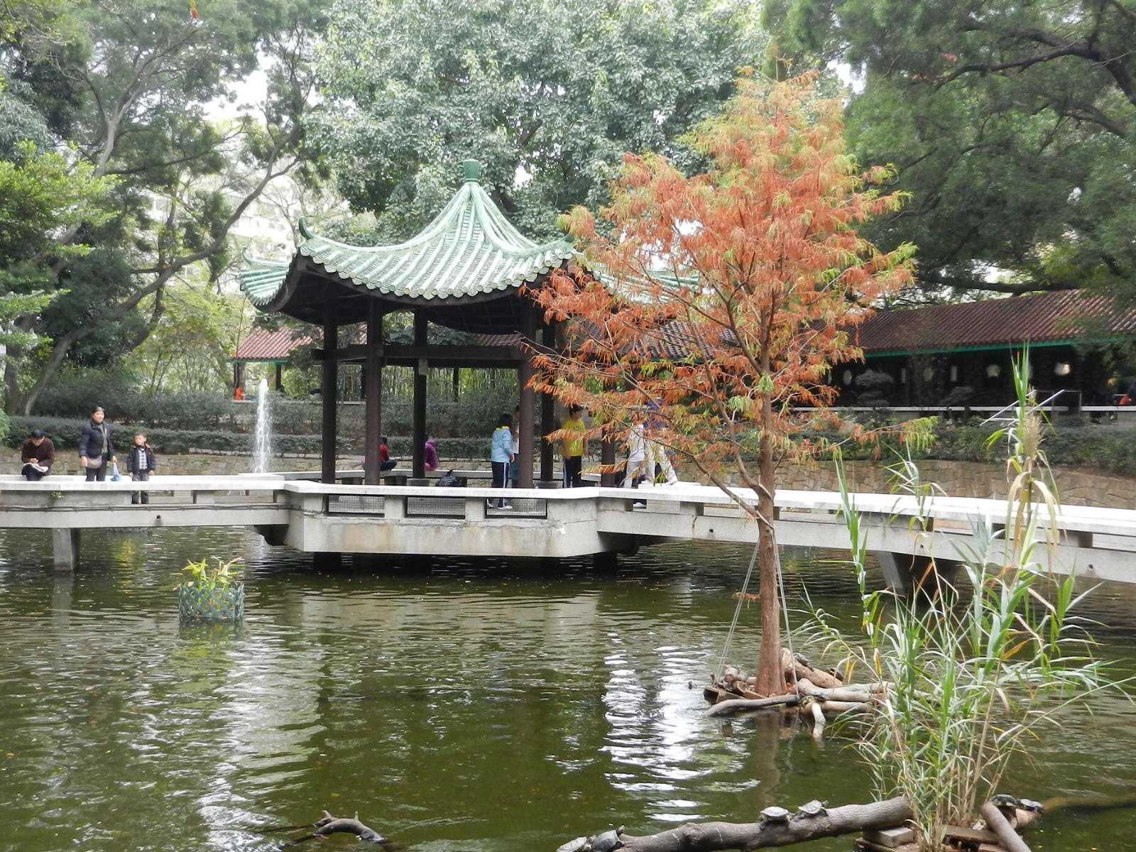 RSCN3352.JPG