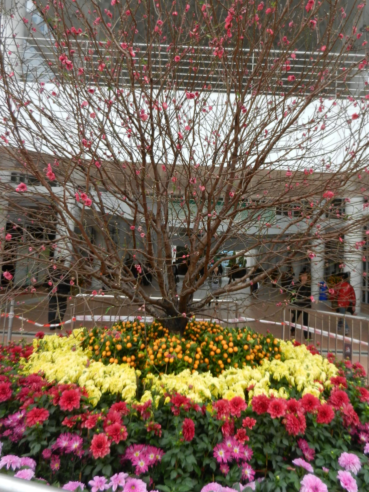 RSCN3423.JPG