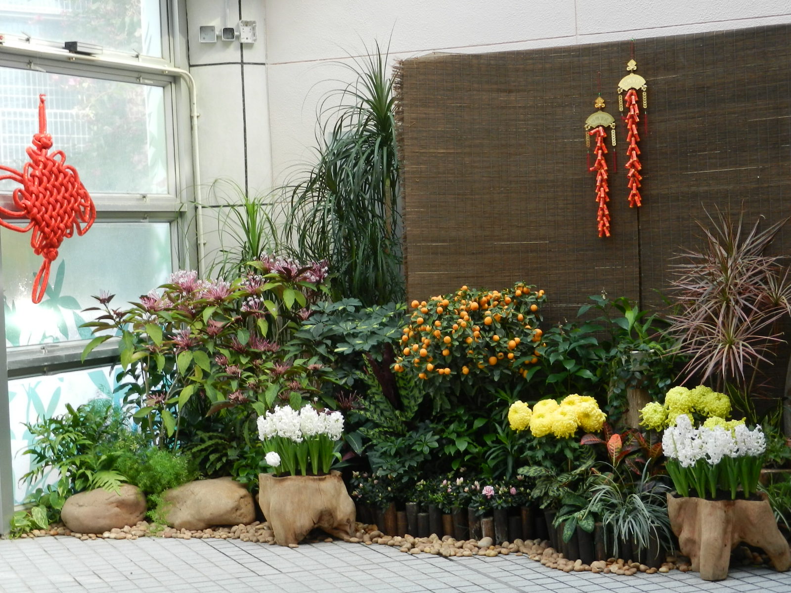 RSCN3528.JPG