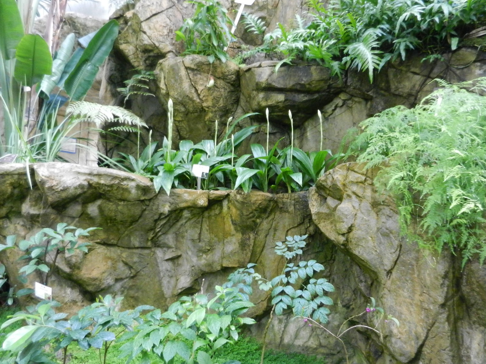 RSCN3521.JPG