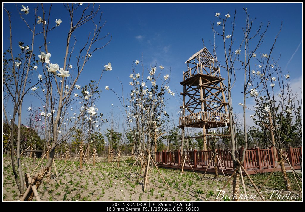 ShPark-05.jpg