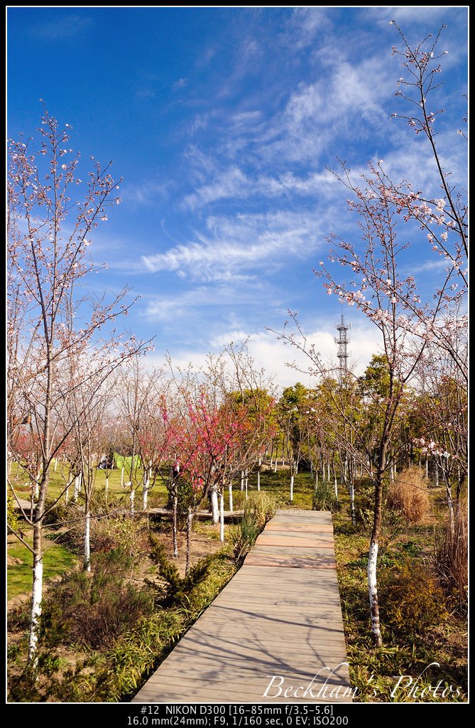 ShPark-12.jpg