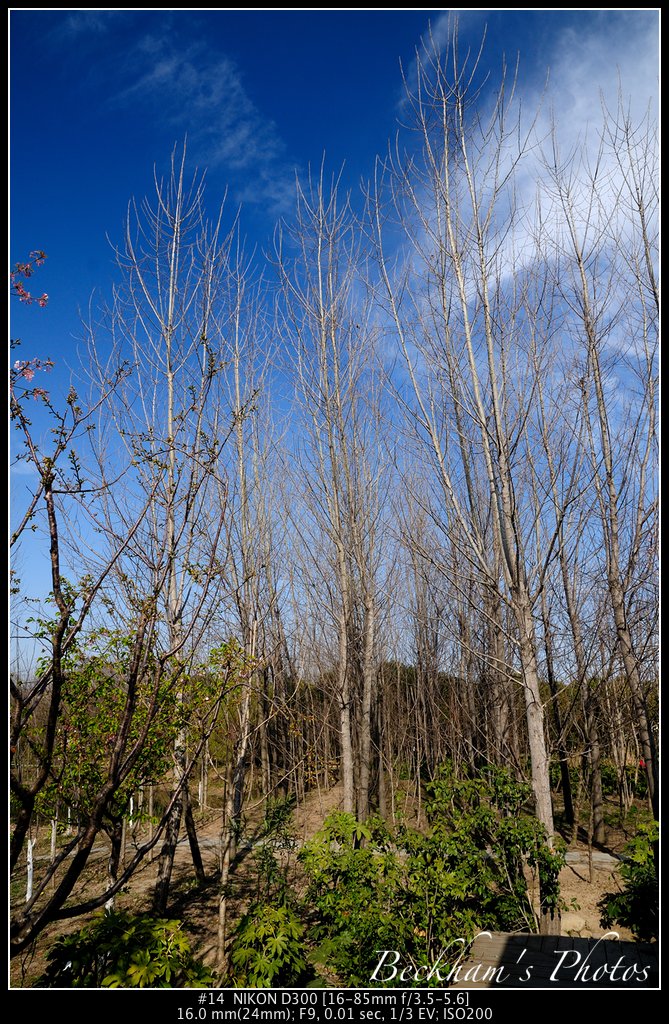 ShPark-14.jpg