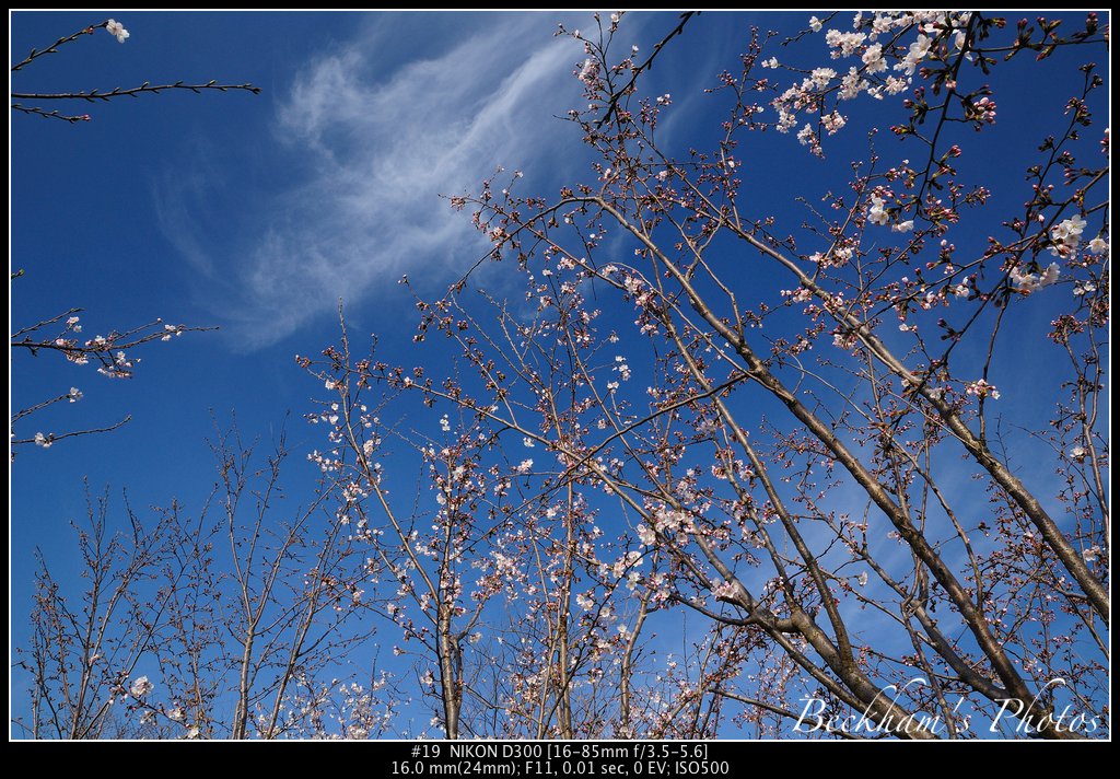ShPark-19.jpg