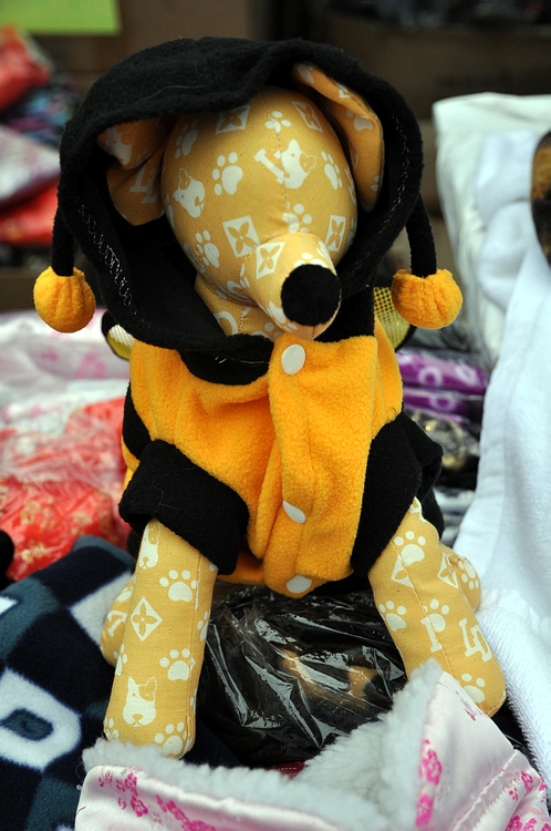 DSC_0493.JPG