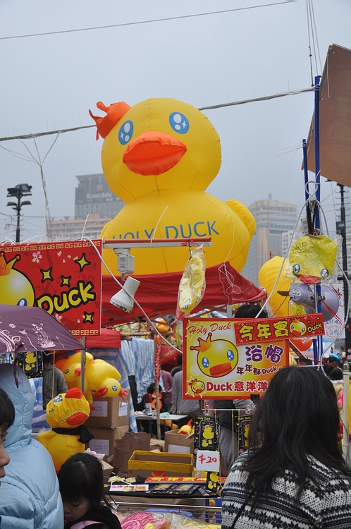 DSC_0511.JPG