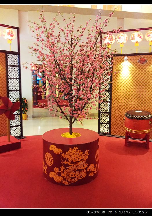 20120112_182745.jpg
