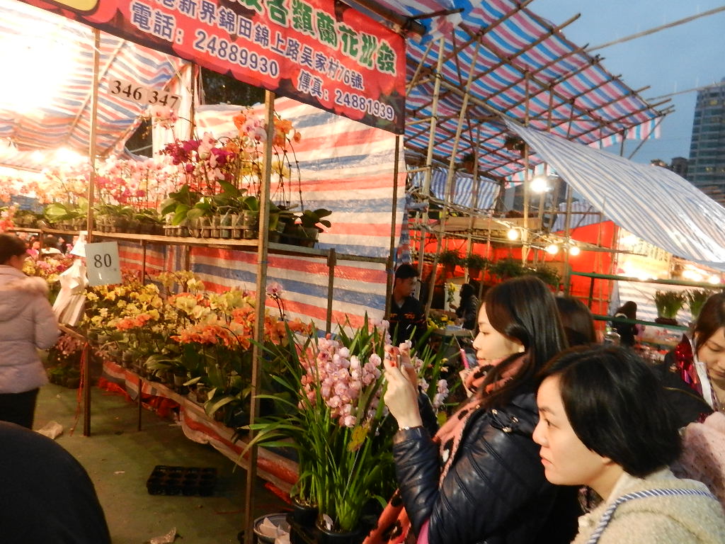 DSCN3805.JPG
