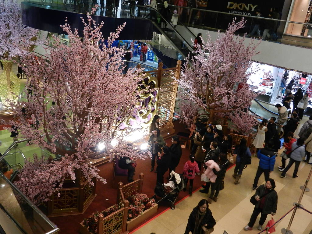 DSCN3876.JPG