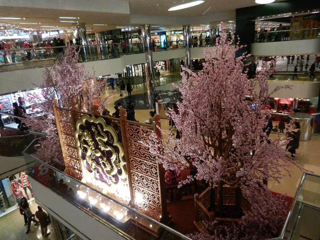 DSCN3877.JPG