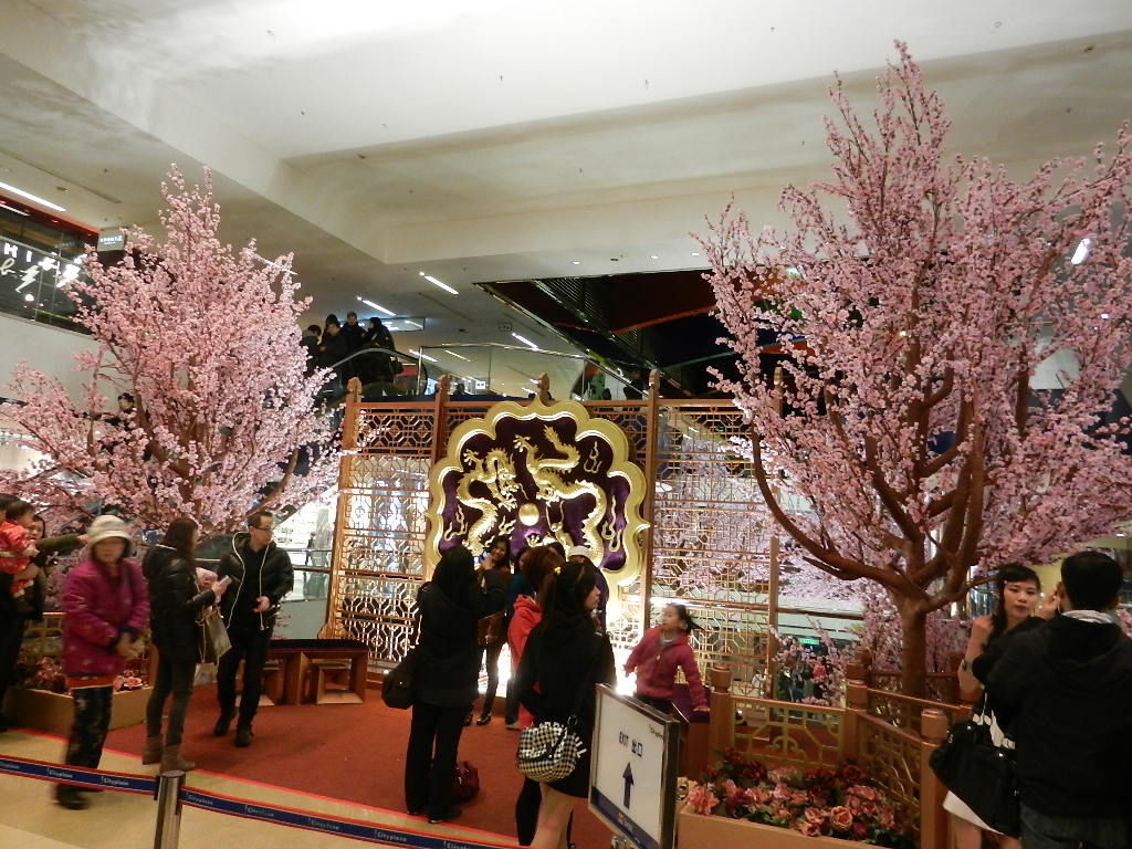 DSCN3878.JPG