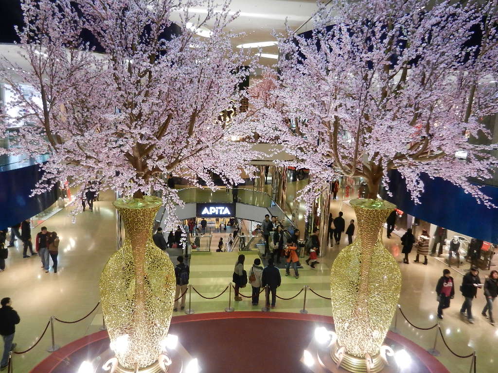 DSCN3881.JPG