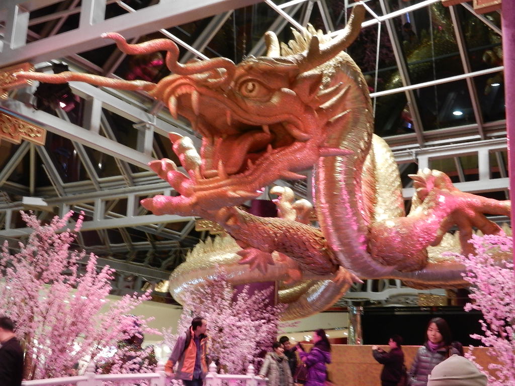 DSCN3883.JPG