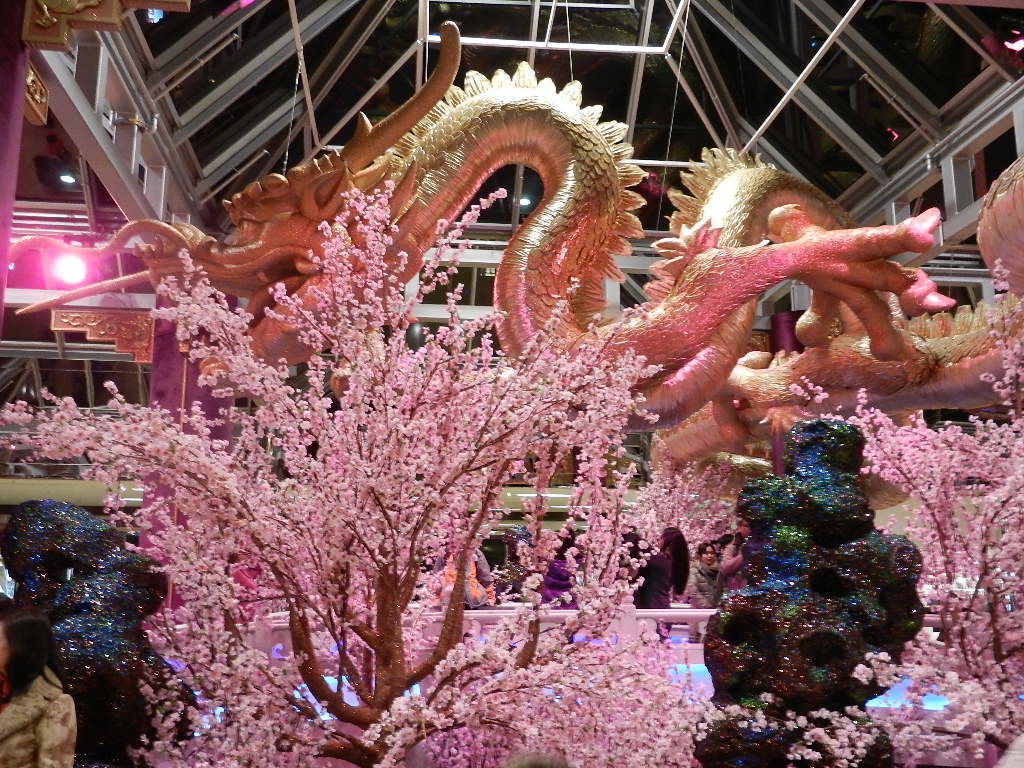 DSCN3884.JPG