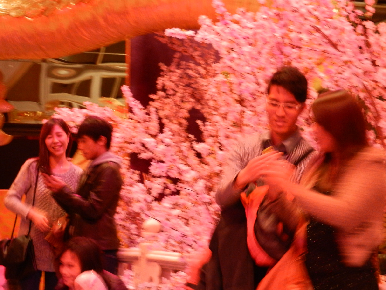 RSCN3954.JPG