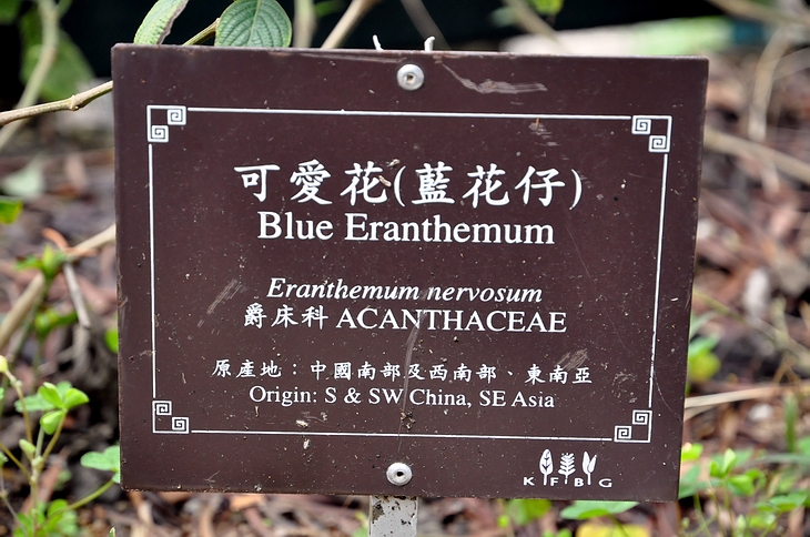 DSC_0599.JPG