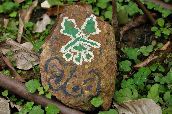 DSC_0615.JPG