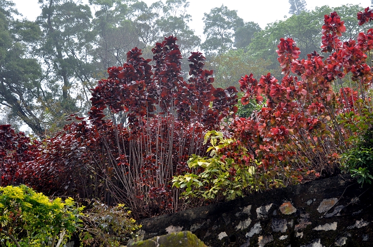 DSC_0640.JPG