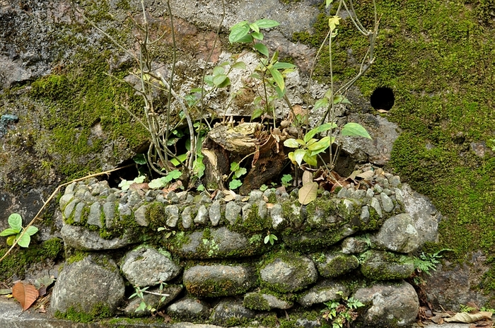 DSC_0641.JPG