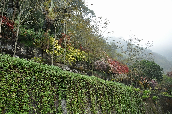 DSC_0643.JPG