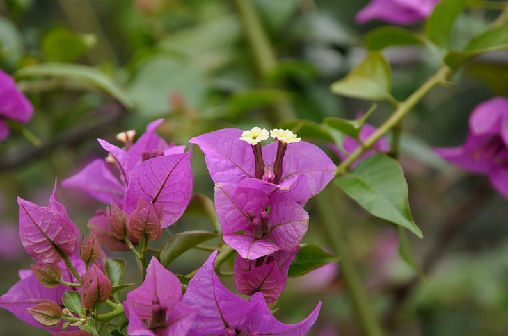 DSC_0644.JPG