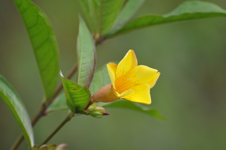 DSC_0647.JPG