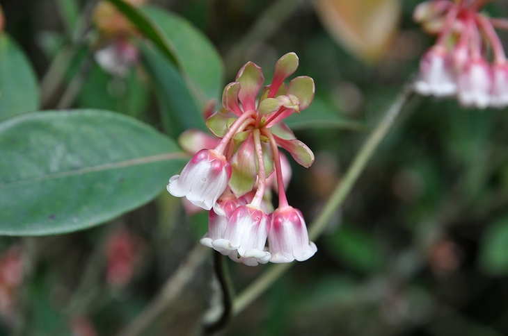 DSC_0765.JPG